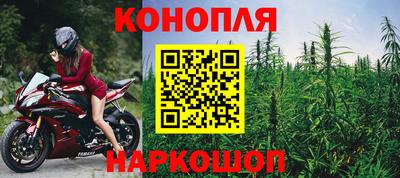 трава Новозыбков