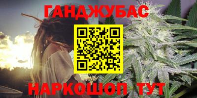 Альфа ПВП Новодвинск
